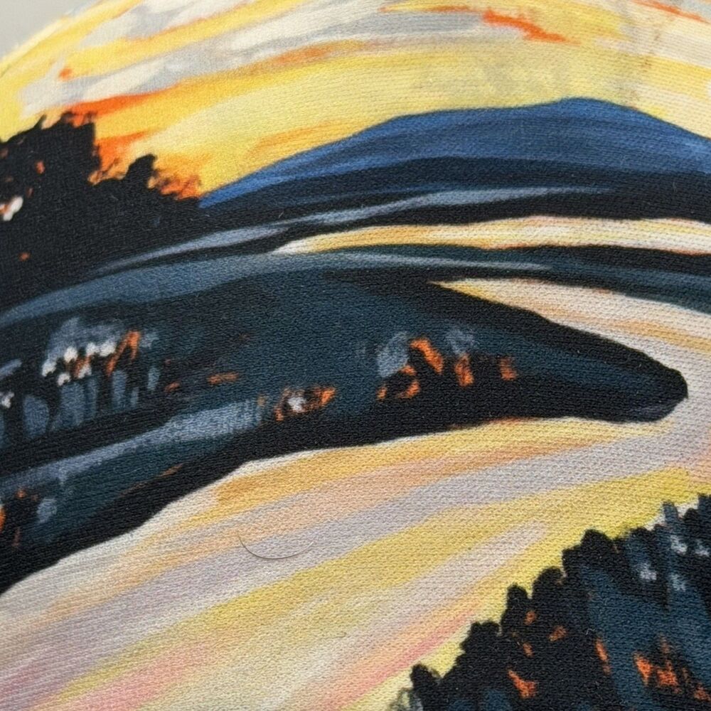 Art 4 All Abby Paffrath Collection Jackson Hole Trucker Hat Sunrise River Used - Picture 10 of 14